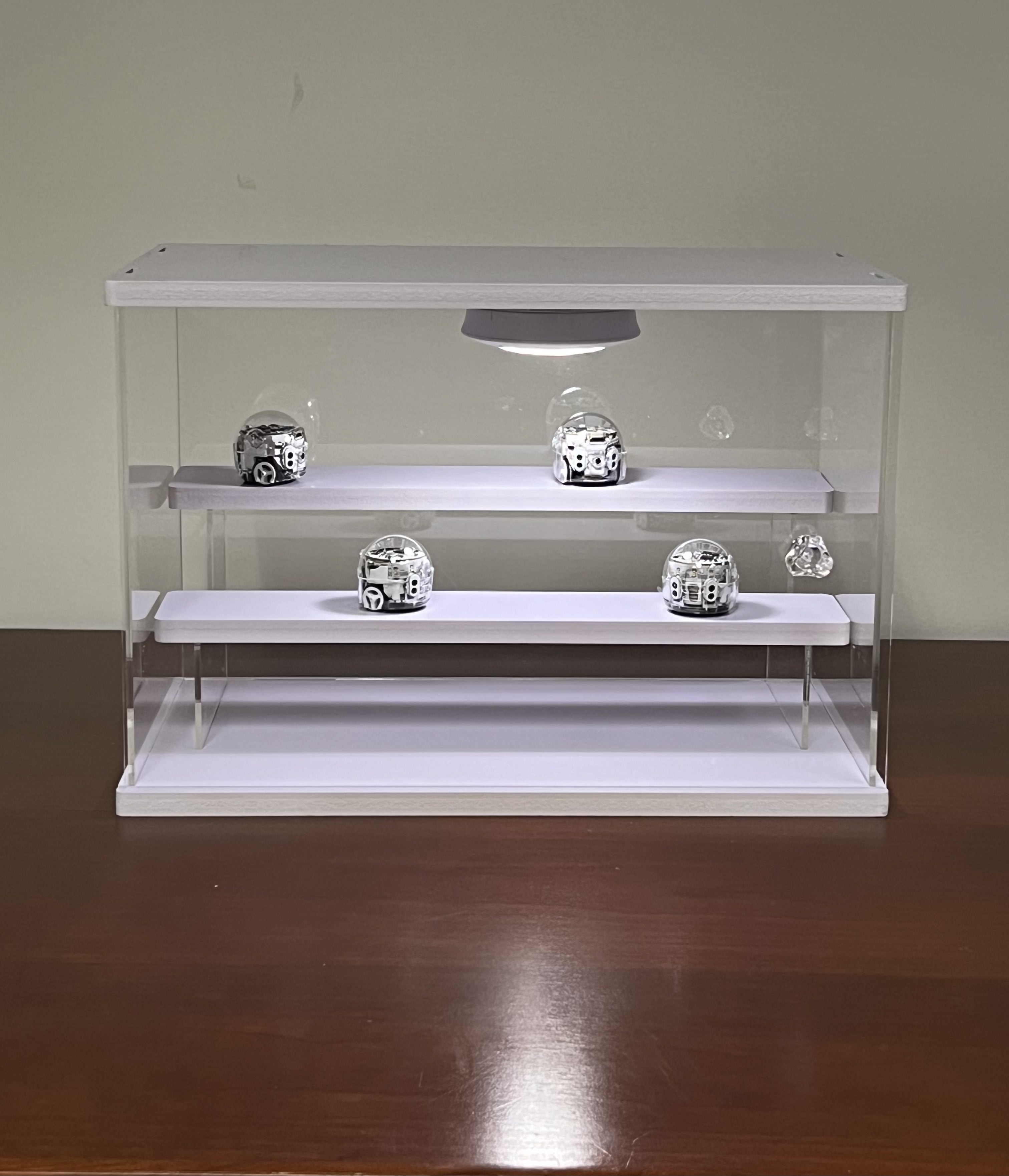 Display case containing small spherical robots